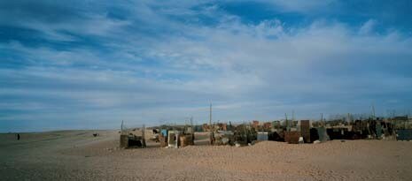 Sheep and goats are bred in pens on the outskirts of the Smara refugee camp (Algeria)