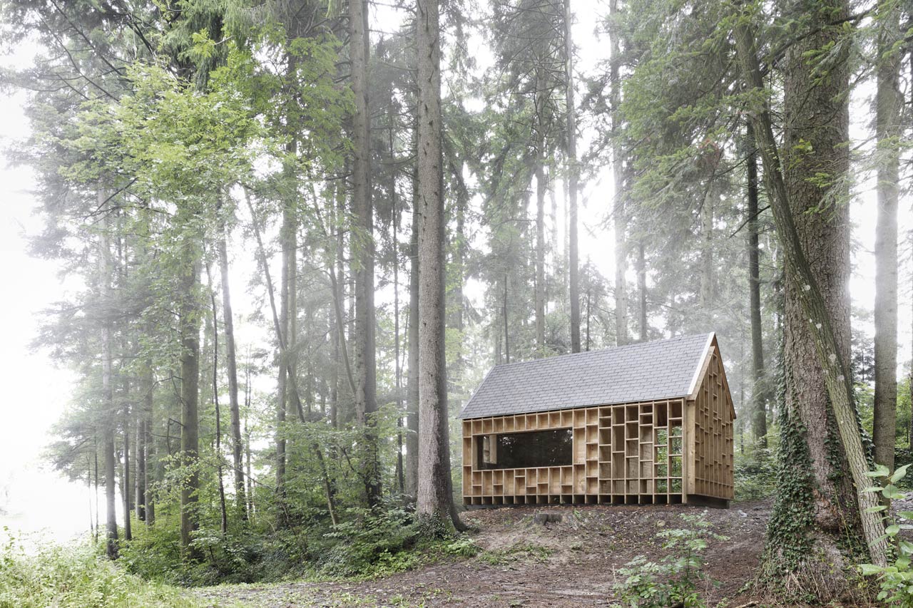 Waldsetzkasten - Domus