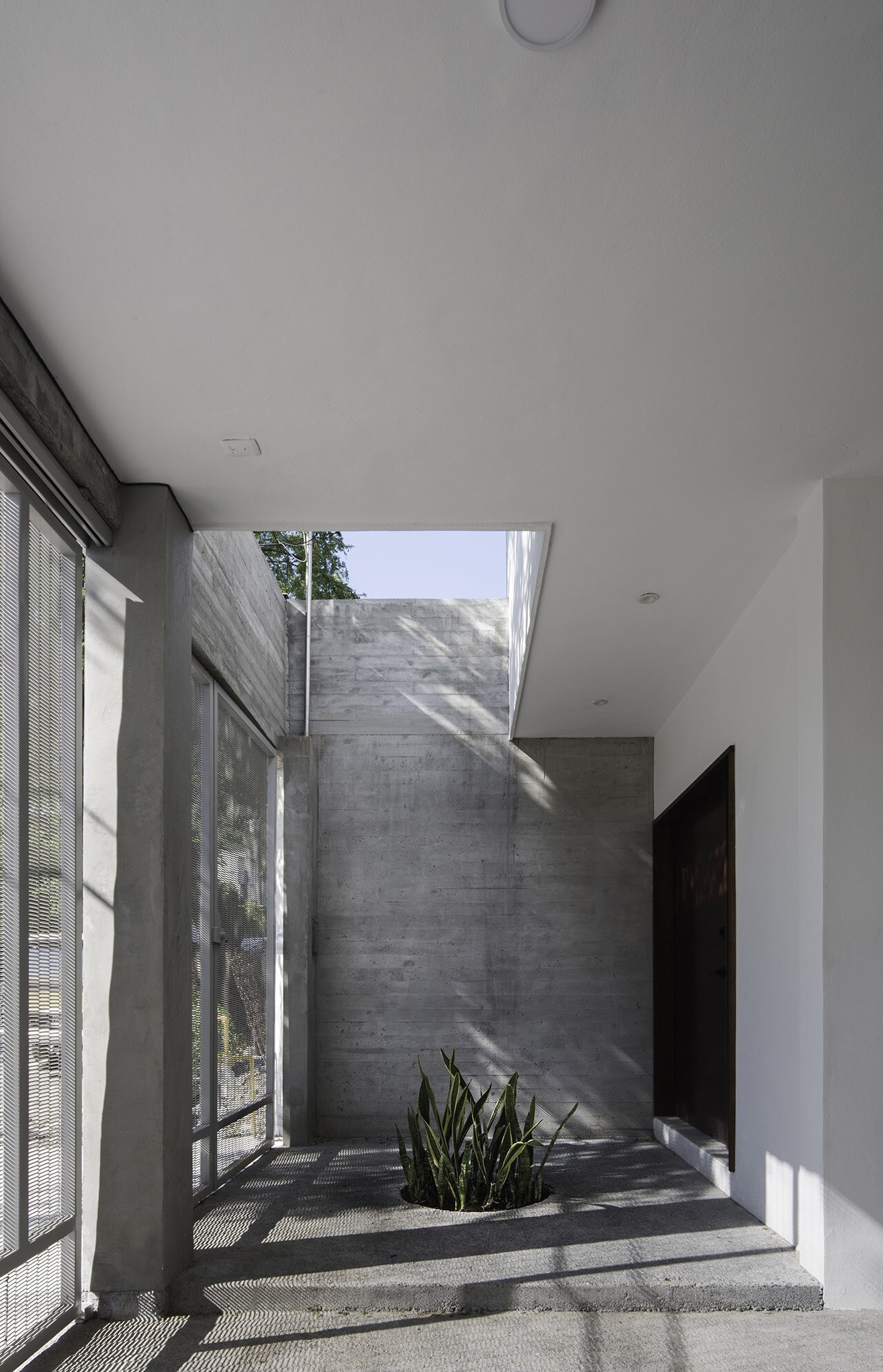 Mexico. Casa Quince is a solid yet porous volume designed by RML diseño