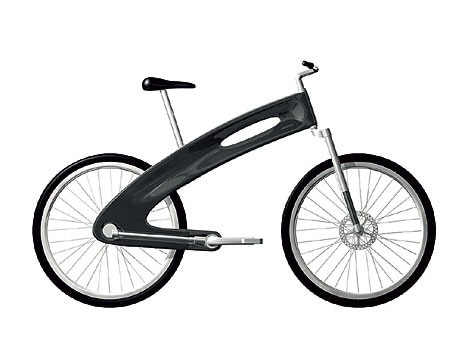 Biolove Carbon
Bicycle (available in 2008)
