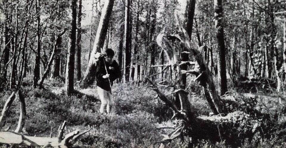 <em>Wirkkala in Lapland, summer 1961</em>, Domus 387 / February 1962, page details