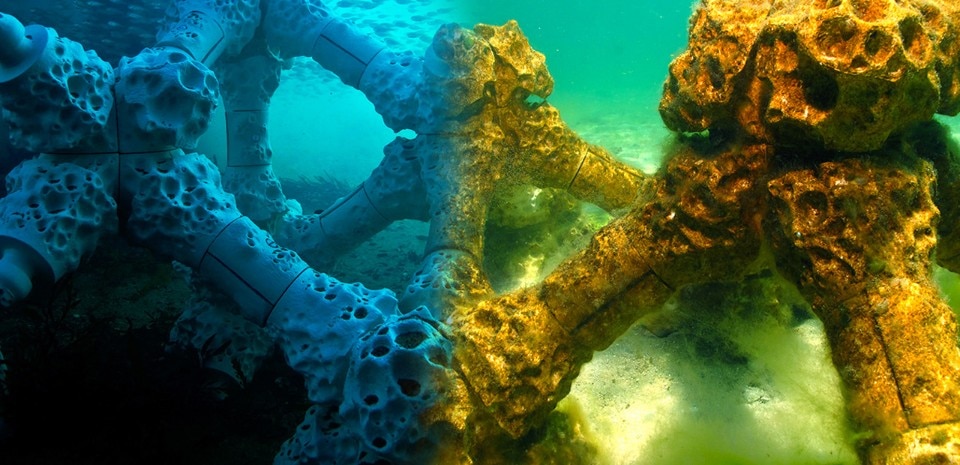 Artificial reef - Domus