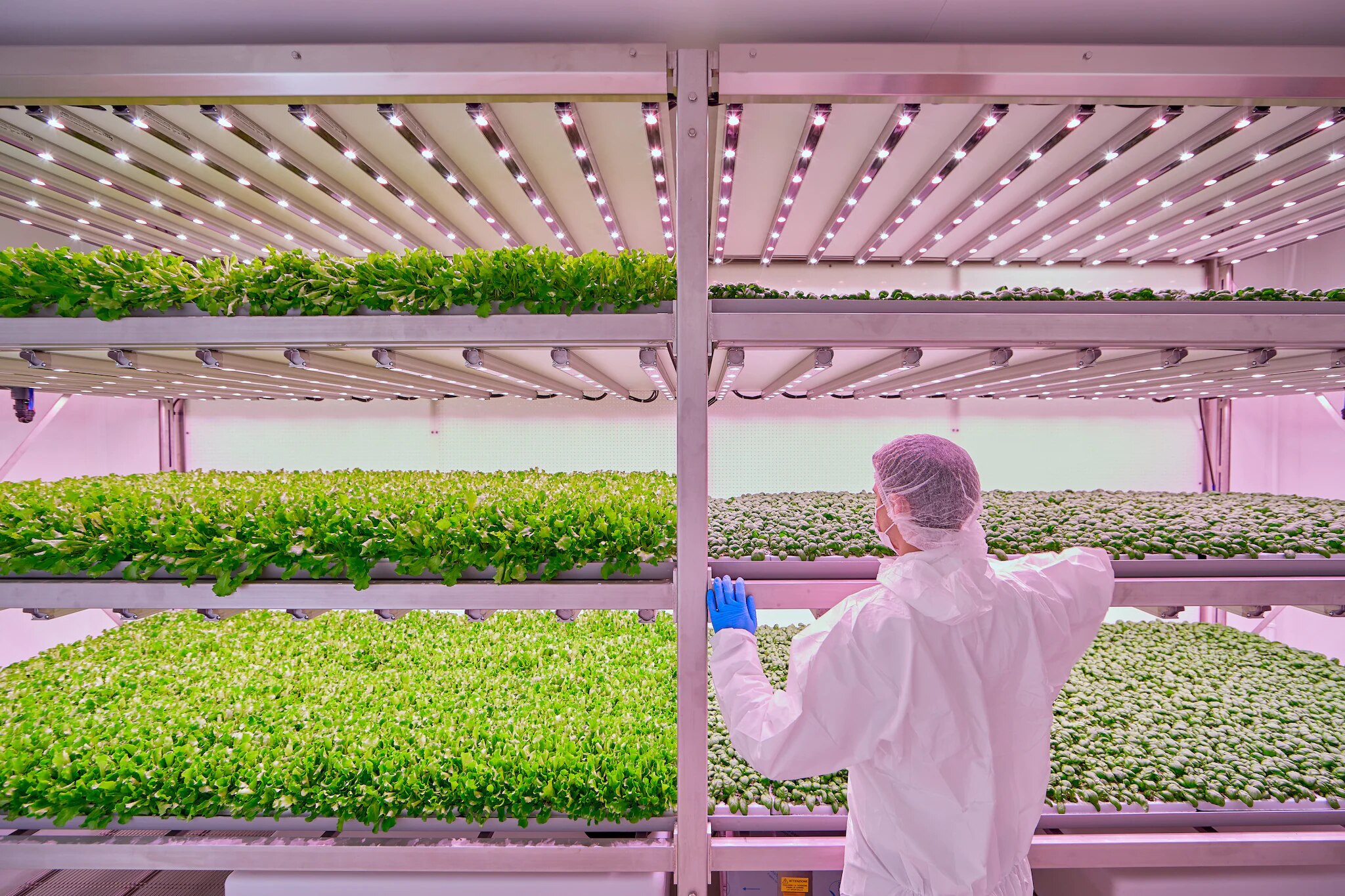 These Are The Worlds Largest Vertical Farms Domus