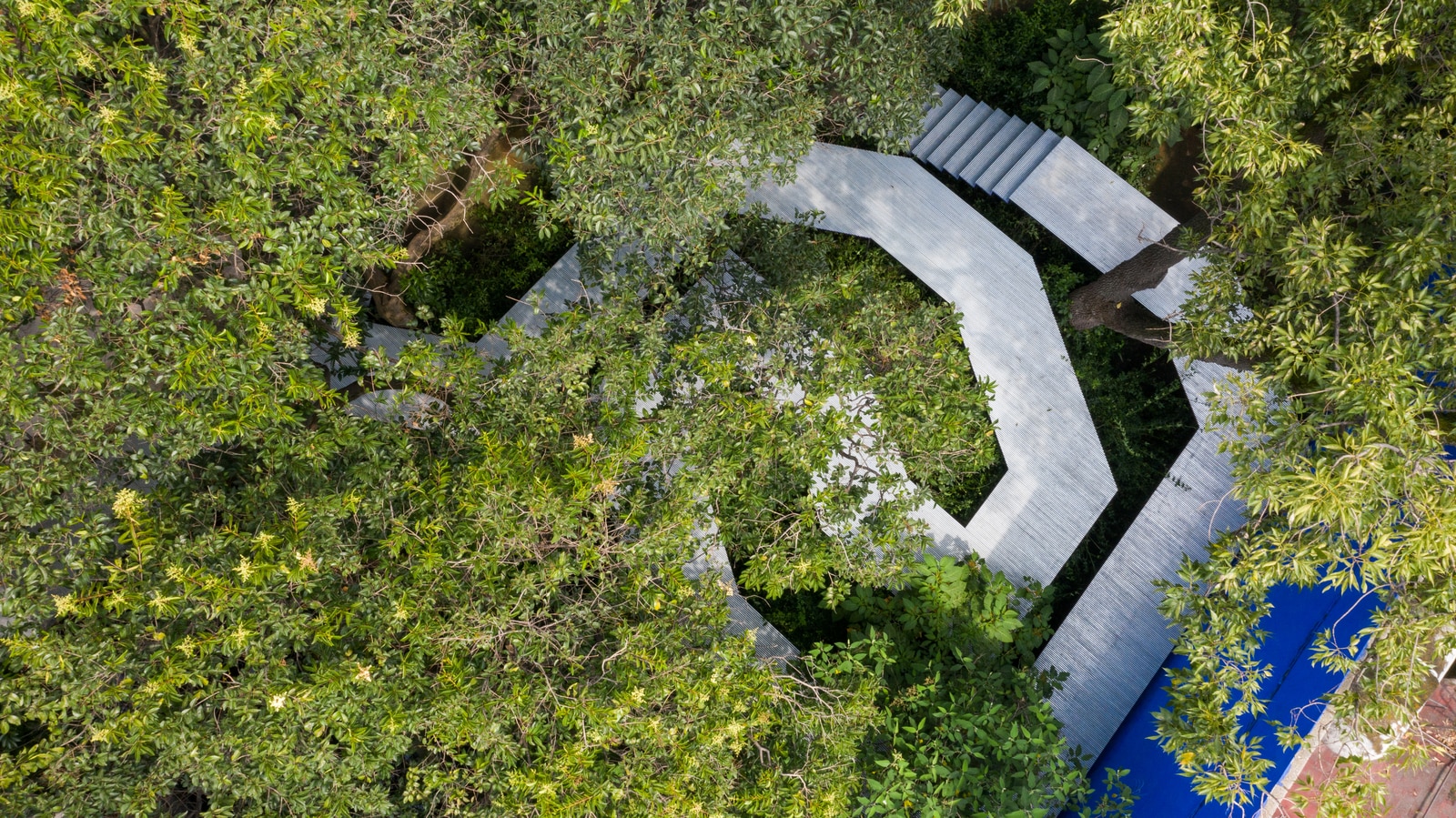 Go Hasegawa Designs The Installation Flying Carpet In The Garden Of Barragan S Studio House