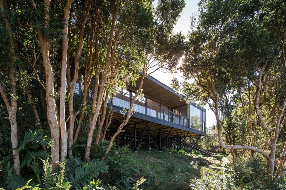 Casa Pola: a home in the middle of Chilean forest