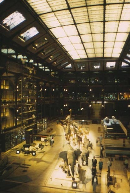 P. Chemetov, Grande Galerie de l'Evolution, Parigi. Foto L. Basso Peressut