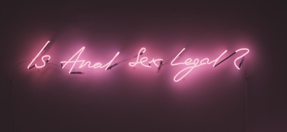 Tracey Emin, Is Anal Sex Legal, 1998