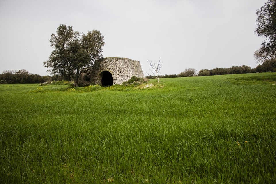 Nidificare i Paduli