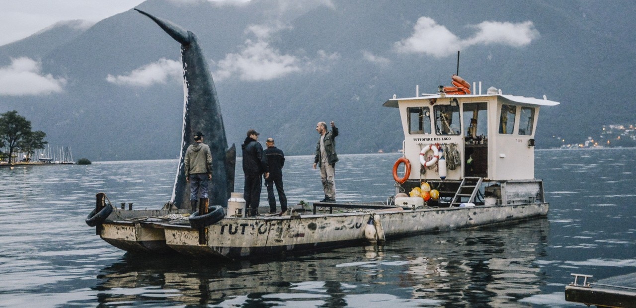 Una balena a Lugano