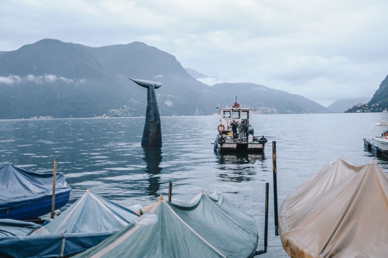 Stefano Ferretti e Alex Dorici, <i>Save the Whale</i>, Lugano