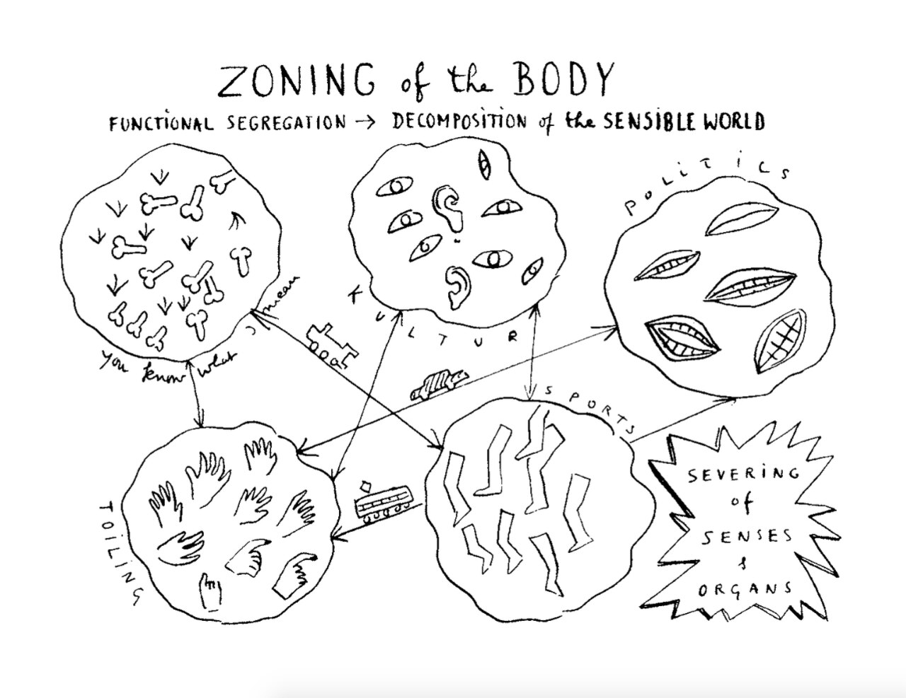 The role of the body in designing the city, beyond mere functionality