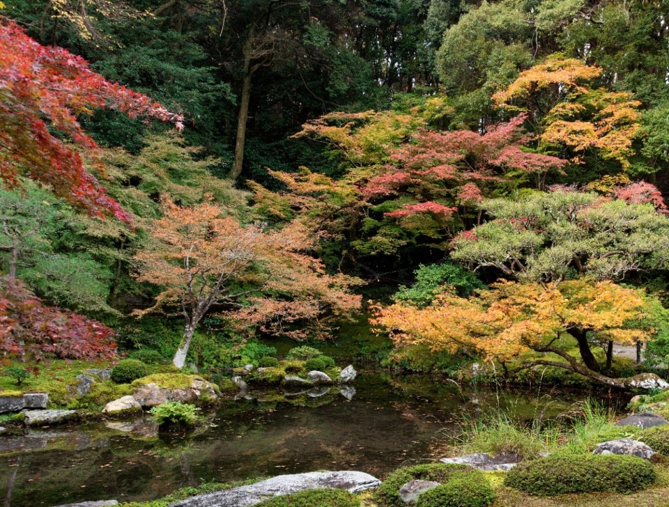 Japanese gardens told by landscape architect Tomoki Kato