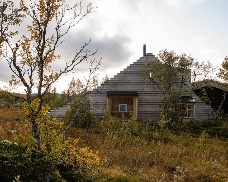 A staircase-hut inhabitable by man and nature