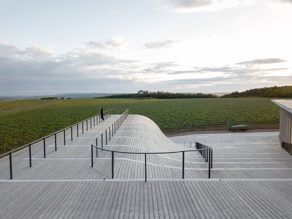 Lahofer Winery follows the rhythm of the viticultural landscape