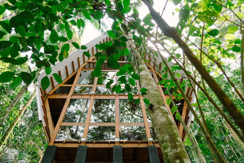 Monkey House: Atelier Marko Brajovic’s observatory in the Brazilian forest