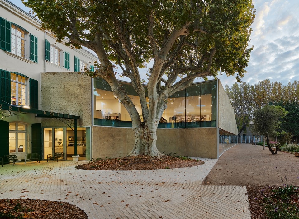 A media library in Provence folds around a centuries-old plane tree