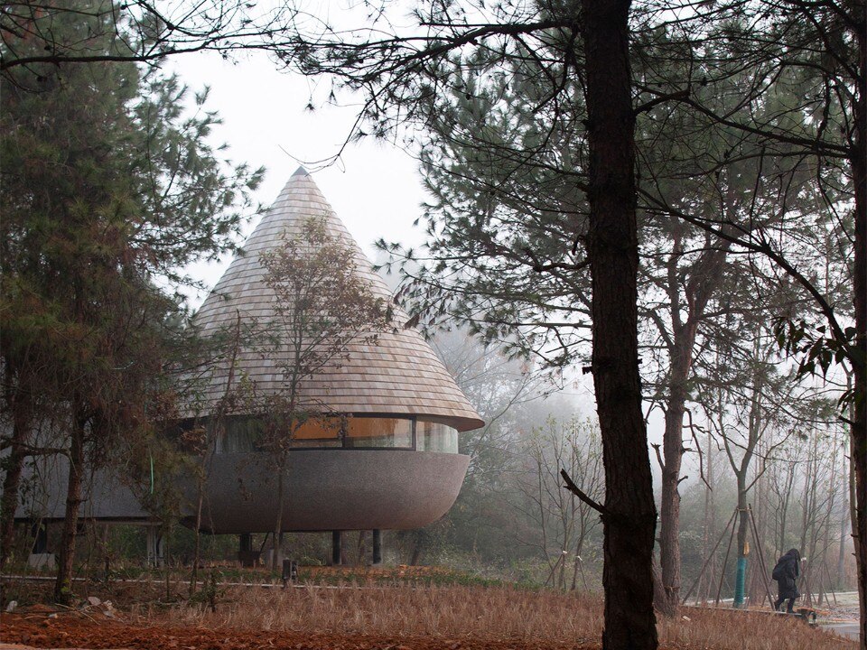 A “mushroom” house in a pine forest