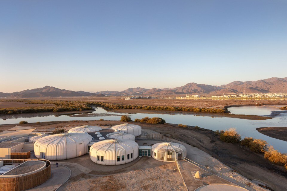 Khor Kalba Turtle and Wildlife Sanctuary: the ecosystem seen from an exoskeleton