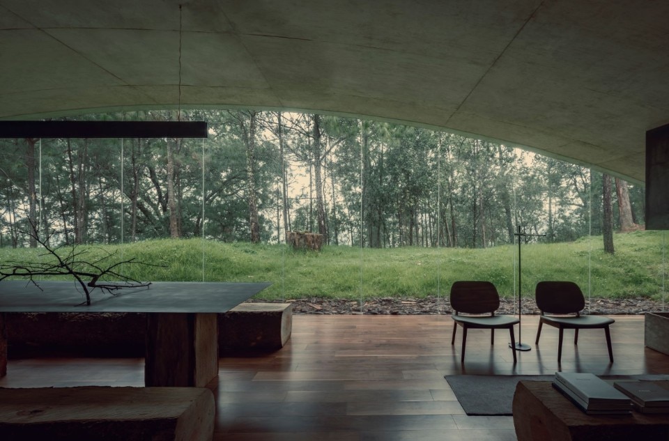 A holiday home in the woods of Mexico
