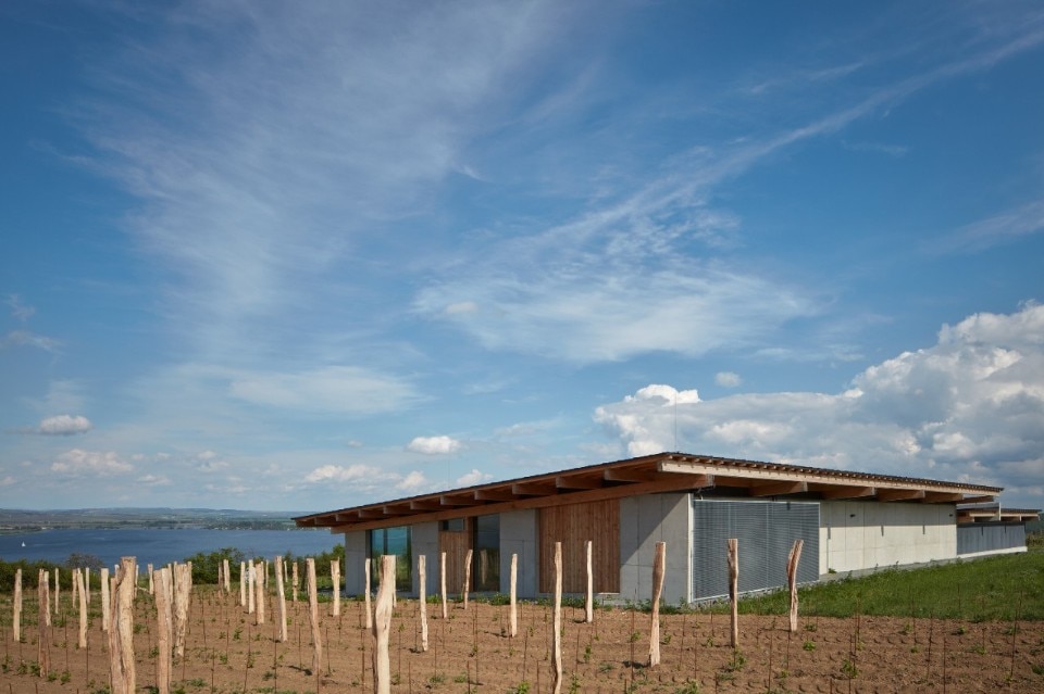 Architecture and nature merge in a winery in the Czech Republic