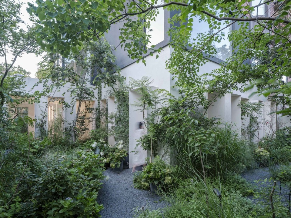 Earth, air, light and forest generate and permeate a house in China