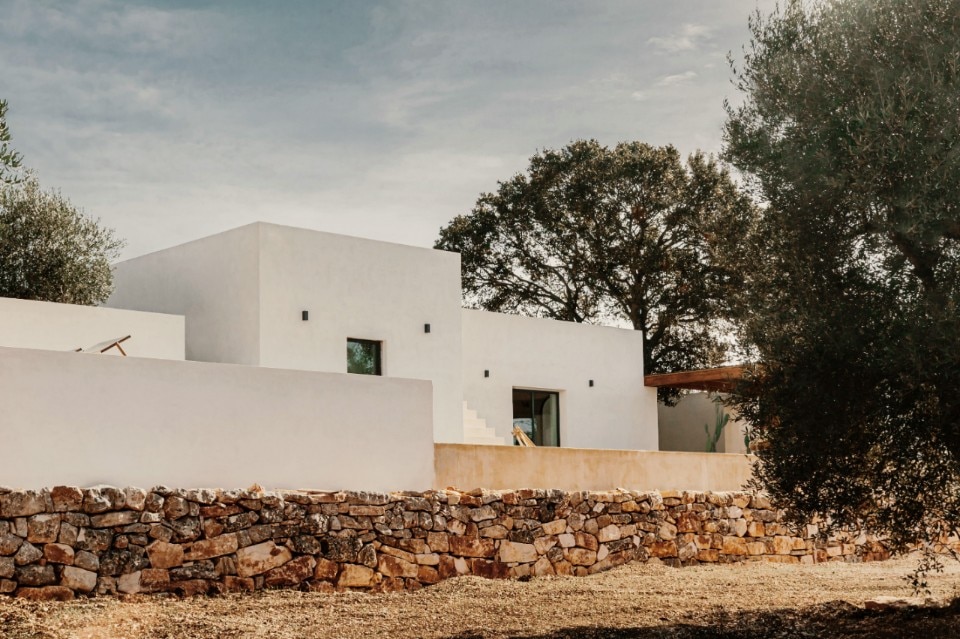A house in Apulia embraces an ancient oak tree