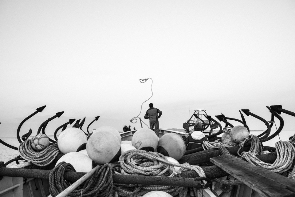 The brutal (but sustainable) world of tuna fishing in the latest work of Francesco Zizola