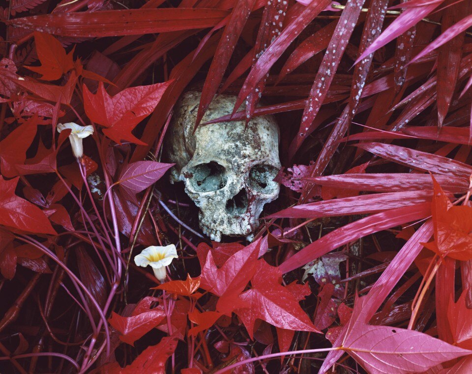 Richard Mosse’ surprising and intense photography