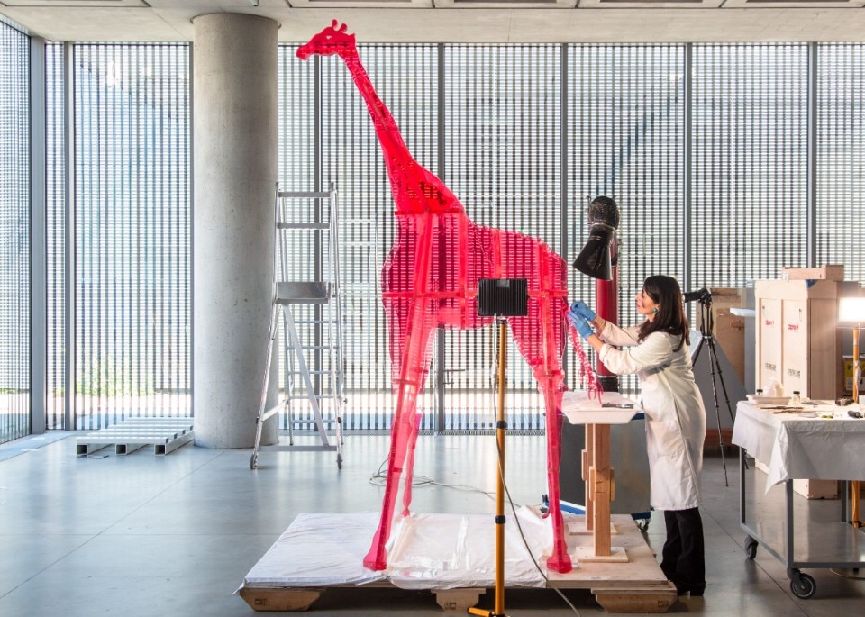 Conserving contemporary art: the case of Marotta’s Giraffe