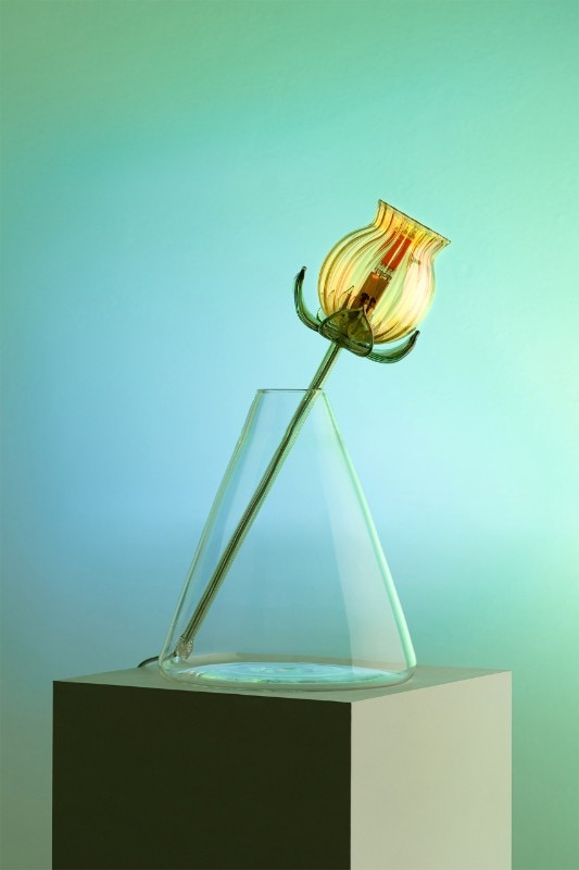 The glass flowers by Alessandra Baldereschi