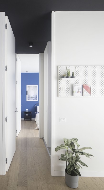 A small flat where every square meter is optimized