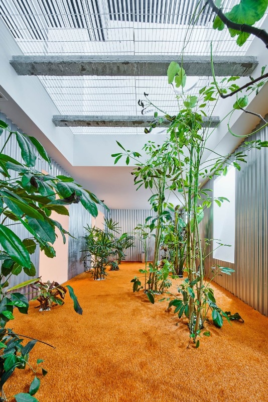 A new hortus conclusus in a Madrid apartment