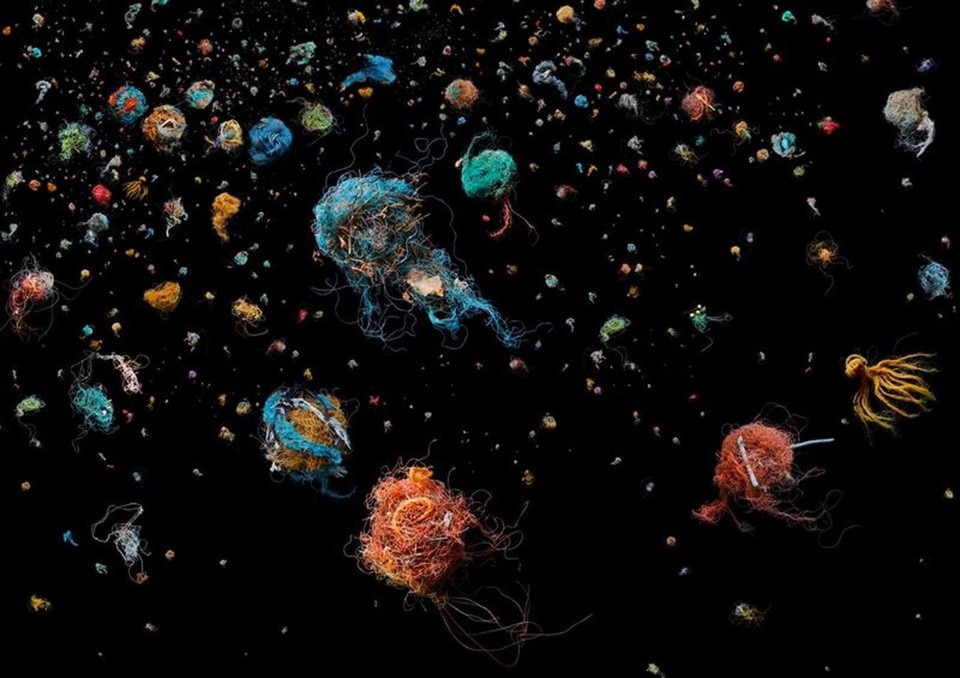 Marine plastic waste photographed by Mandy Barker looks alien and beautiful