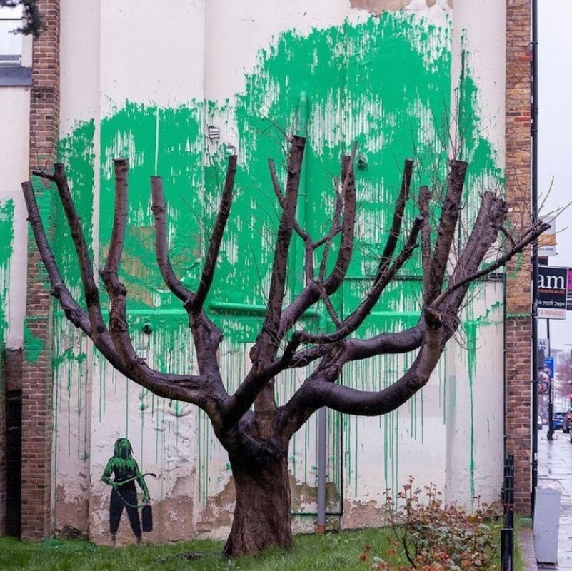 Banksy’s new artwork is an invitation to let nature regrow