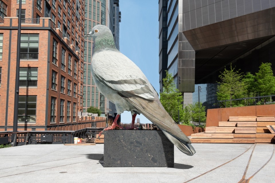 An outscaled, provocative pigeon will appear on New York's High Line