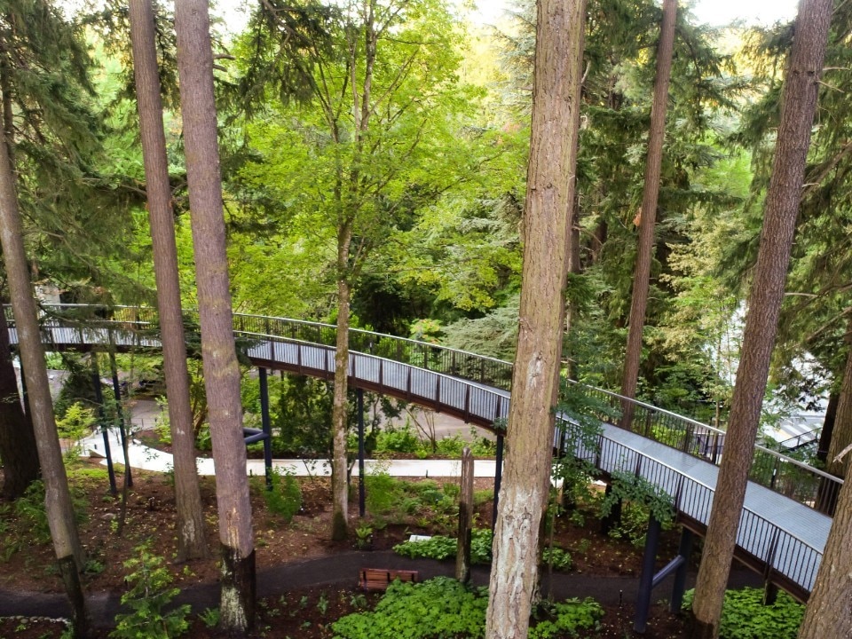 Botanical garden in Portland redesigned by Land Morphology