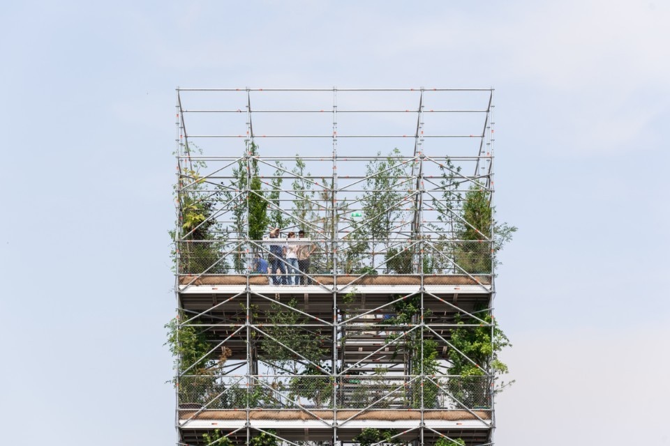 MAIO designs a pavilion wrapped in 1,306 plants in Timisoara