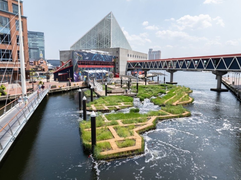 In Baltimore inaugurates an artificial floating wetland